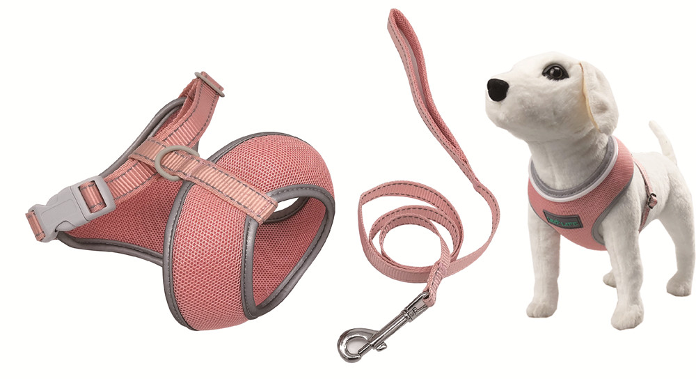 Halo puppy harness leash set