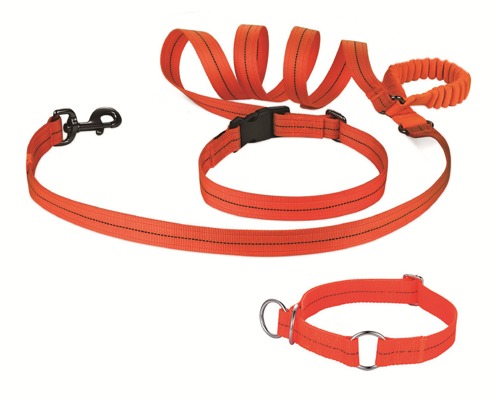 Florescent Jogging collar & leash set
