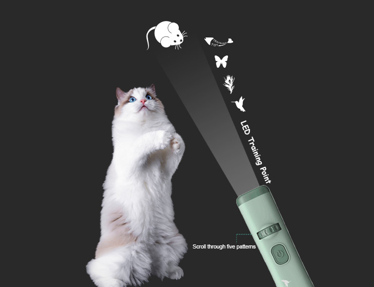 UV370nm Pet Skin Detector with 5 point