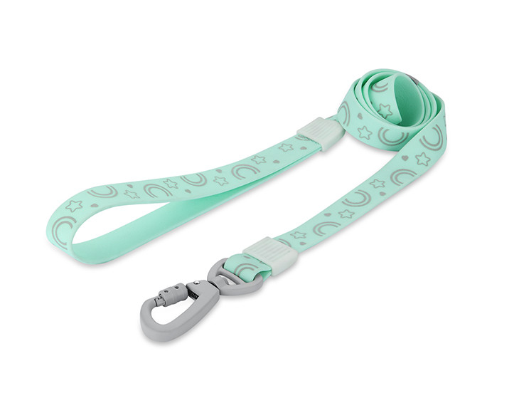 Puppy PVC  leash  with reflectinv print