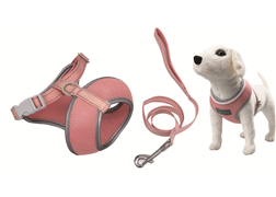 Puppy Mesh Harness& leash set