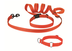 Florescent Jogging collar & leash set