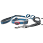 Rhinestone Flash collar & leash set