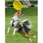 Dynamic fun frisbee